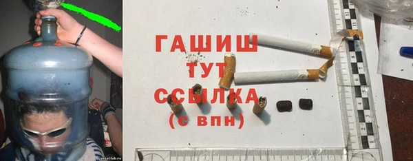 индика Абаза