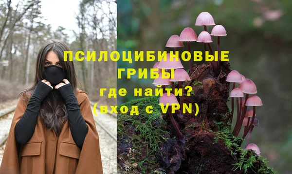 индика Абаза