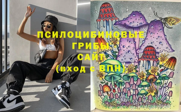 ПСИЛОЦИБИНОВЫЕ ГРИБЫ Рославль