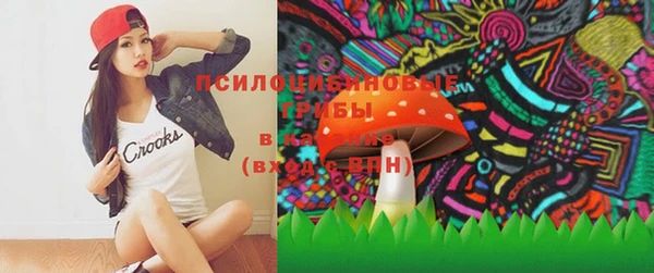 индика Абаза