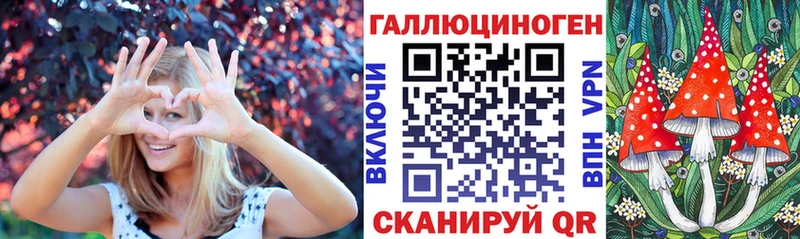 Псилоцибиновые грибы GOLDEN TEACHER  shop Telegram  Луга  как найти  