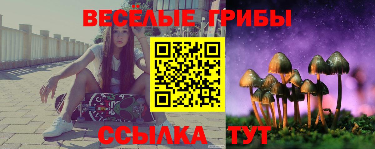 Галлюциногенные грибы мицелий Луга