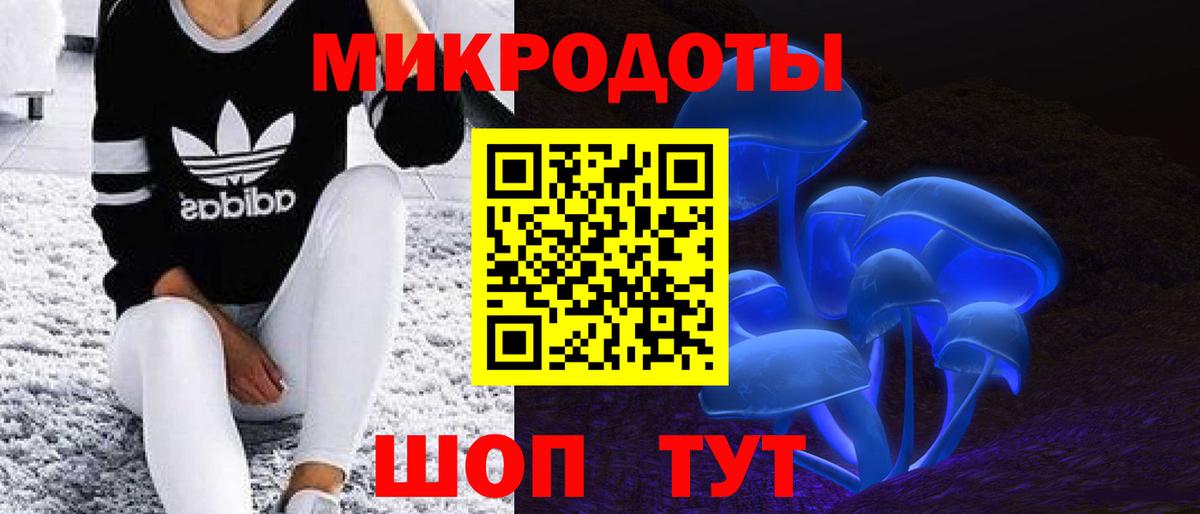 Луга  Галлюциногенные грибы ЛСД  Вход с VPN 